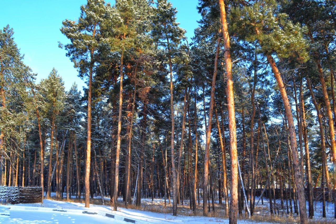 отель заповедник лесное